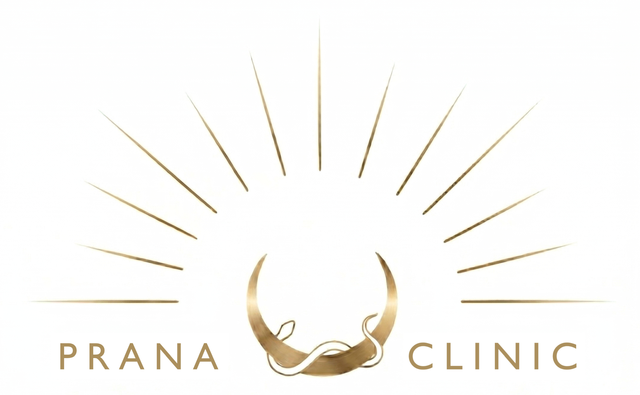 cropped white background with prana clinic cropped.png